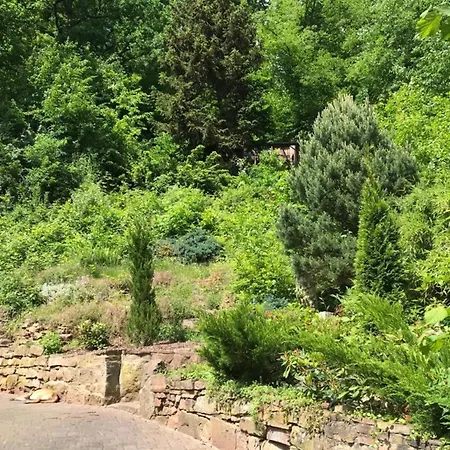 Naturhaeuschen Mit Kamin - Feuerschale - Garten - Mit Beheizbarem Gartenwhirlpool Tatil Evi *